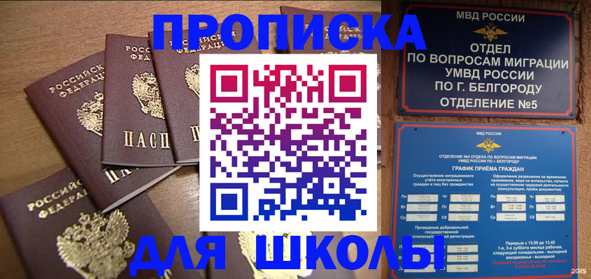 прописка гарантия в Мурино